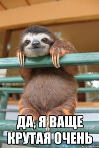  Да, я ваще крутая очень