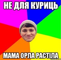не для куриць мама орла растіла