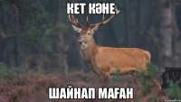 Кет кәне шайнап маған
