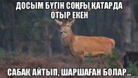 Досым бүгін соңғы қатарда отыр екен Сабақ айтып, шаршаған болар...