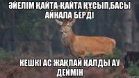 Әйелім қайта-қайта құсып,басы айнала берді Кешкі ас жақпай қалды ау деймін