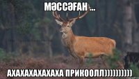 мӘссӘған ... Ахахахахахаха прикоолл))))))))))