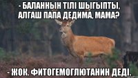 - Баланнын тiлi шыгыпты, алгаш папа дедима, мама? - Жок. Фитогемоглютанин дедi.