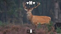 ♥М♥ ♡А♡
