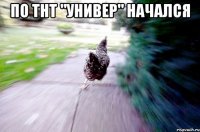 По ТНТ "Универ" начался 