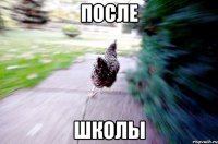 после школы