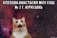 Клепова Анастасия МОУ СОШ № 2 г. Юрюзань 