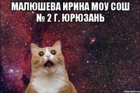 Малюшева Ирина МОУ СОШ № 2 г. Юрюзань 