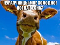 чурапчинцы мне холодно! когда весна? 