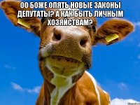 оо боже опять новые законы депутаты? А как быть личным хозяйствам? 