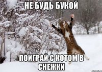 не будь букой поиграй с котом в снежки