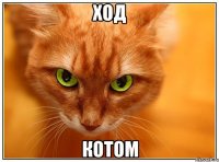 ход котом