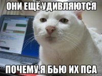 Они ещё удивляются почему я бью их пса