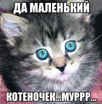 Да маленький котеночек...муррр...
