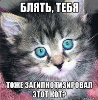 БЛЯТЬ, ТЕБЯ ТОЖЕ ЗАГИПНОТИЗИРОВАЛ ЭТОТ КОТ?