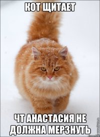 кот щитает чт Анастасия не должна мерзнуть