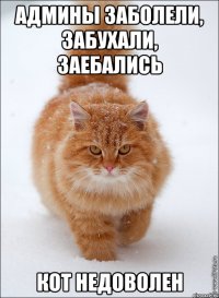 админы заболели, забухали, заебались кот недоволен