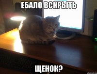 ЕБАЛО ВСКРЫТЬ ЩЕНОК?