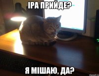 ІРА ПРИЙДЕ? Я МІШАЮ, ДА?