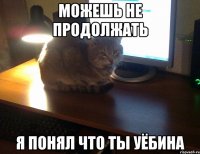 МОЖЕШЬ НЕ ПРОДОЛЖАТЬ Я ПОНЯЛ ЧТО ТЫ УЁБИНА