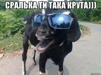 сралька ти така крута))) 