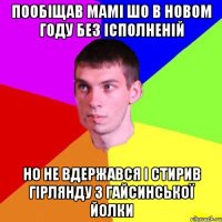 пообіщав мамі шо в новом году без ісполненій но не вдержався і стирив гірлянду з гайсинської йолки