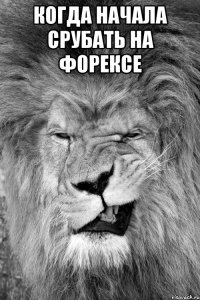 когда начала срубать на форексе 