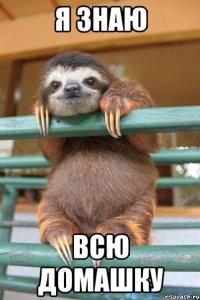Я знаю всю домашку