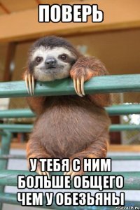 Поверь У тебя с ним больше общего чем у обезьяны