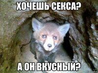 хочешь секса? а он вкусный?