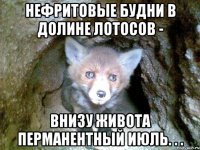 Нефритовые будни в долине лотосов - внизу живота перманентный июль. . .