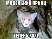 маленький принц теперь XXXL