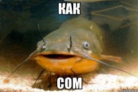 КАК СОМ
