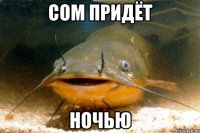 СОМ ПРИДЁТ НОЧЬЮ