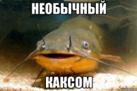 НЕОБЫЧНЫЙ КАКСОМ