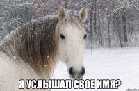  я услышал свое имя?