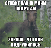 Ставит лайки моим подругам Хорошо, что они подружились