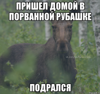 пришел домой в порванной рубашке подрался