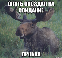 опять опоздал на свидание пробки