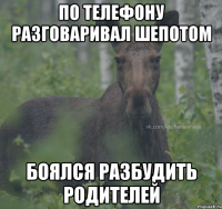 по телефону разговаривал шепотом боялся разбудить родителей