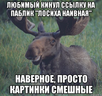 Любимый кинул ссылку на паблик "Лосиха Наивная" наверное, просто картинки смешные