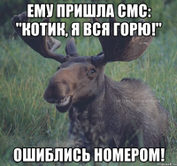 Ему пришла смс: "Котик, я вся горю!" Ошиблись номером!