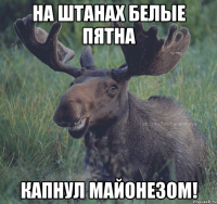 На штанах белые пятна Капнул майонезом!