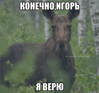 Конечно,Игорь Я верю