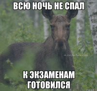 Всю ночь не спал к экзаменам готовился