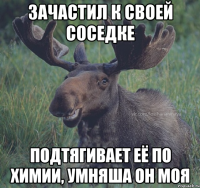 зачастил к своей соседке подтягивает её по химии, умняша он моя