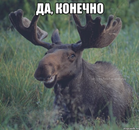 да, конечно 