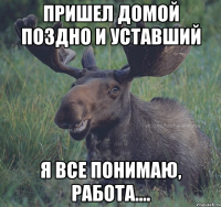 Пришел домой поздно и уставший Я все понимаю, работа....