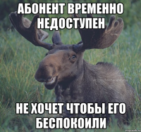 Абонент временно недоступен Не хочет чтобы его беспокоили