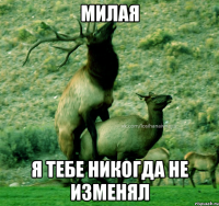 Милая я тебе никогда не изменял